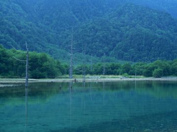 県相模法律特許事務所