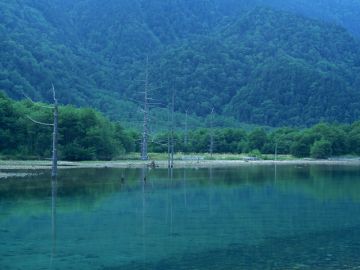 東大阪法律事務所