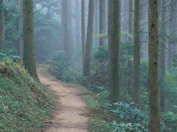 西日本法律事務所