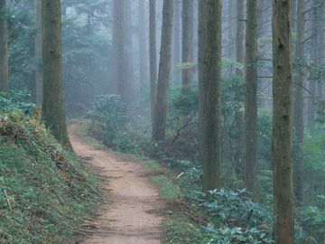 吉田・木村法律事務所