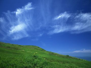 青山裕法律事務所