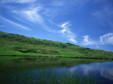 堀内法律事務所