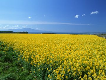 はまだ市民総合法律事務所
