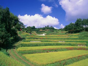 冨山信彦法律事務所